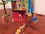 Immagine 5