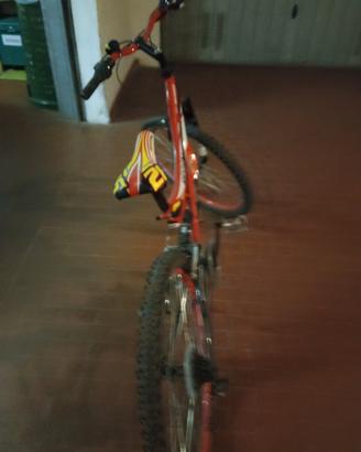 Bicicletta 26