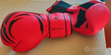 Guantoni da boxe Domyos + Fasce 