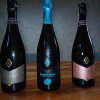 Vini Franciacorta