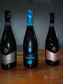 Vini Franciacorta