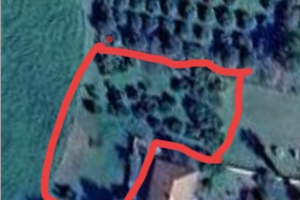 Terreno in c.da caccia di placida