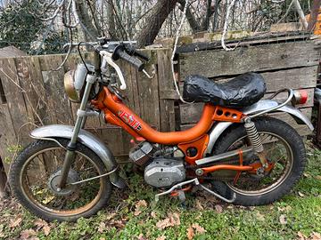 Tubone testi cricket