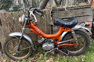 Tubone testi cricket