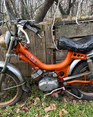 Tubone testi cricket