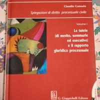 Spiegazioni di diritto processuale civile vol.1 