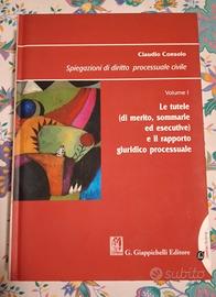 Spiegazioni di diritto processuale civile vol.1 