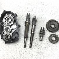 INGRANAGGI RUOTA POSTERIORE CON CARTER YAMAHA MAJE