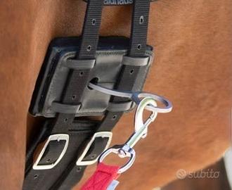 Equibender Waldhausen Lavoro col fascione