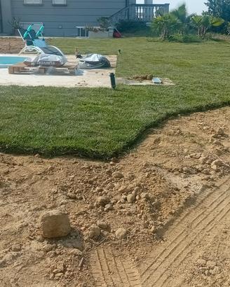 prato pronto e sintetico