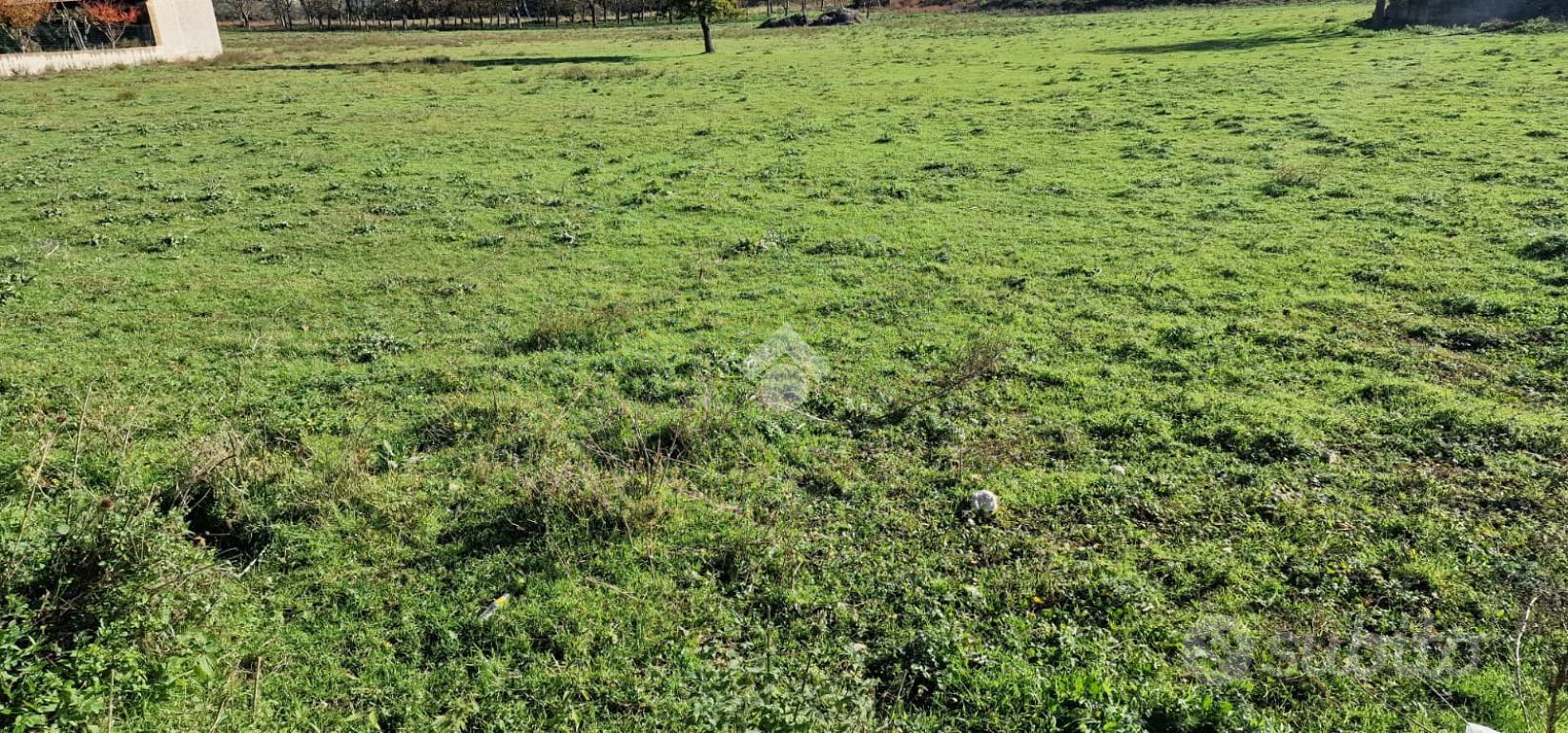 TER. RESIDENZIALE A BONEA - Altro