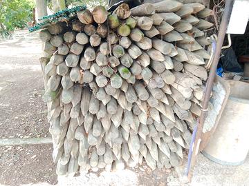pali di abete/pino.