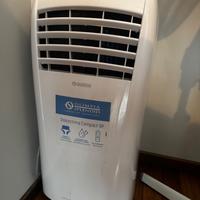 pinguino climatizzatore