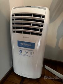 pinguino climatizzatore