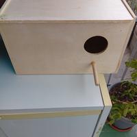 cova grande per pappagalli