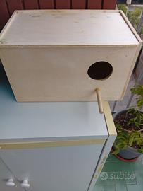 cova grande per pappagalli