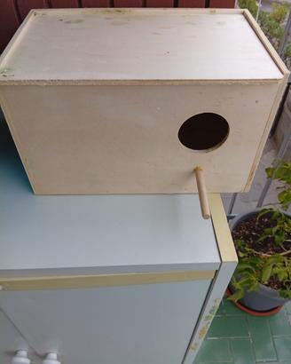 cova grande per pappagalli