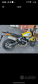 Ducati scrambler 1100