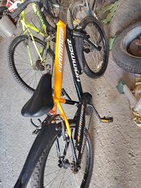 bicicletta misura 20 bimbo