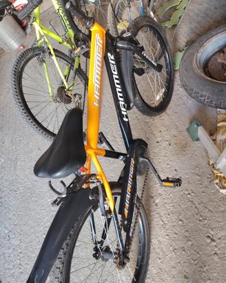 bicicletta misura 20 bimbo