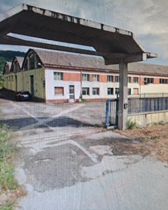 Lotto edificabile con Capannone e Terreno