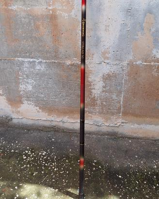 canna da pesca bolognese browning stellar 5mt