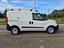 Immagine 6
