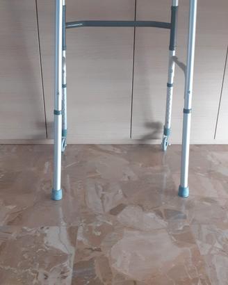 Carrello deambulatore