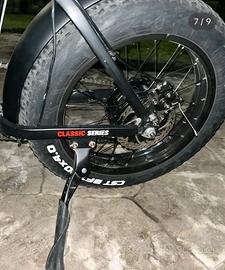 Bicicletta elettrica