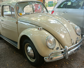 Volkswagen Maggiolino 6 volts 06/'65 1.200cc