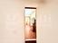 Immagine 17