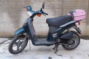 ciclomotore Free 50 Piaggio 