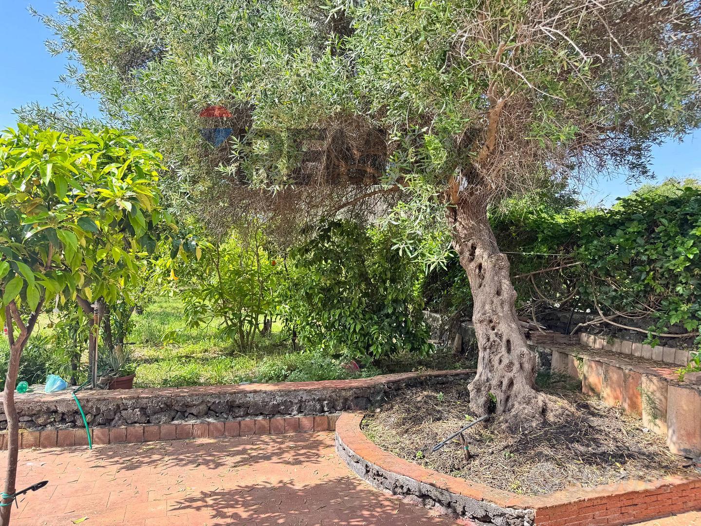 Terreno Edificabile - Acireale - Altro
