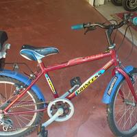 MTB DIAMETRO RUOTA 20 