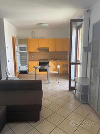 MONOLOCALE A RONCADELLE