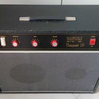 AMPLIFICATORE DAVOLI TEMPEST 15