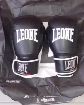 Guantoni Leone.