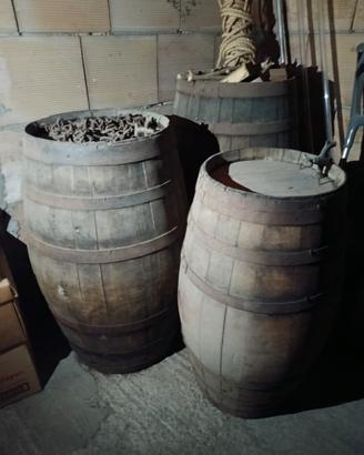 Botti in legno 