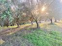 ter-agricolo-a-alghero
