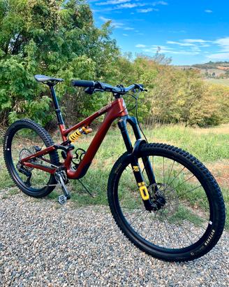 Specialized Stumpjumper 15 Öhlins