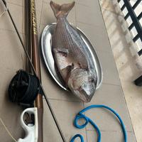 Lg SUB Revolution 124