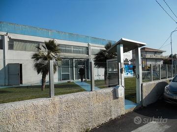 Locale-capannone-logistico