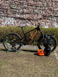 Santa cruz nomand c