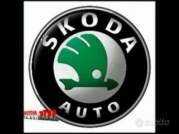 Cambio manuale marce Skoda diesel e benzina metano