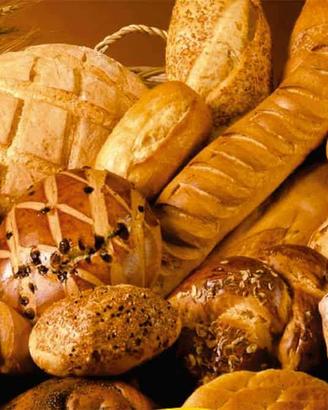 Panetteria a Treviso