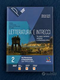 Libro di letteratura e intrecci 2