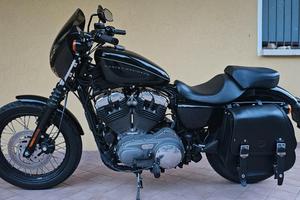 Sportster 1200 nighster