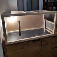 Teca terrario gechi, pogone, rettili