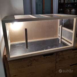 Teca terrario gechi, pogone, rettili