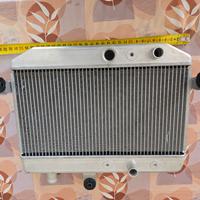 Radiatore Suzuki Burgman 400